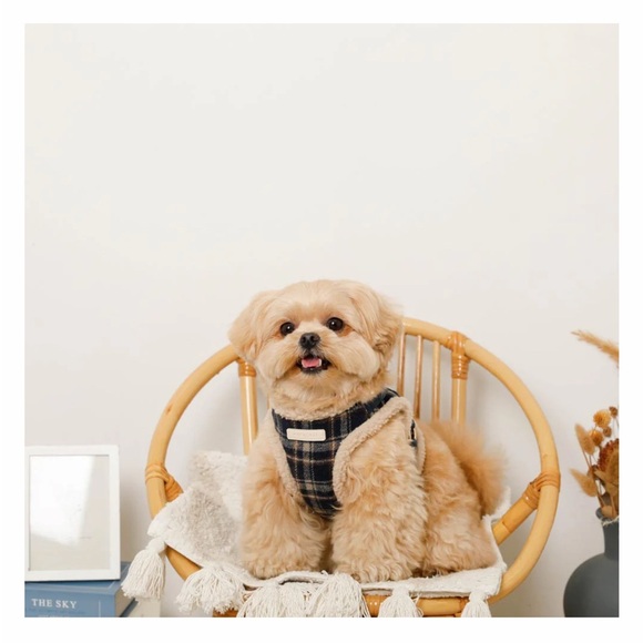 Mon Cheri Plaid Dog Harness